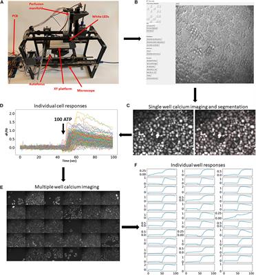 An Open-Source Framework for Automated High-Throughput Cell Biology Experiments